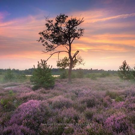 Willa Natuurhuisje Oisterwijk Zewnętrze zdjęcie