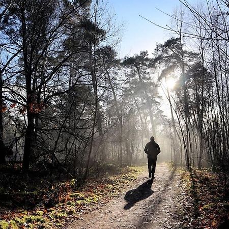 Willa Natuurhuisje Oisterwijk Zewnętrze zdjęcie