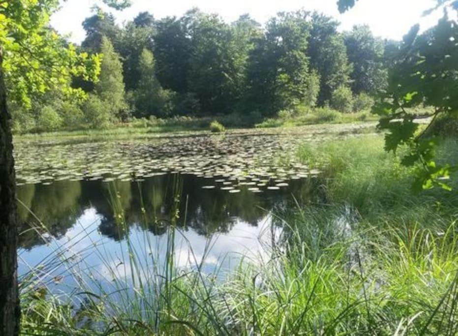 Willa Natuurhuisje Oisterwijk Zewnętrze zdjęcie