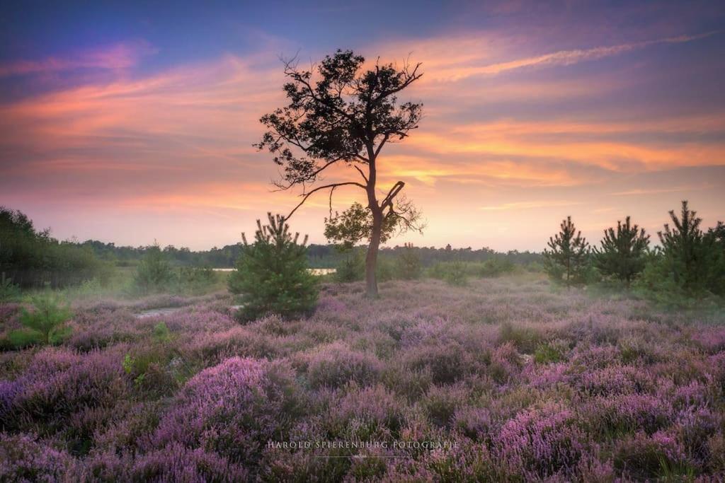 Willa Natuurhuisje Oisterwijk Zewnętrze zdjęcie