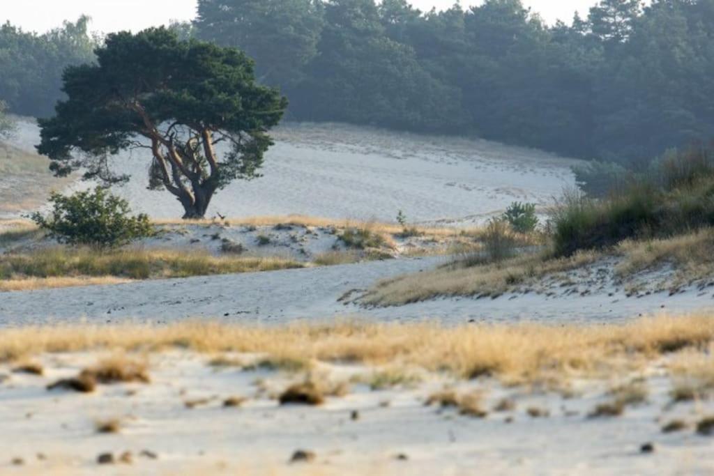 Willa Natuurhuisje Oisterwijk Zewnętrze zdjęcie