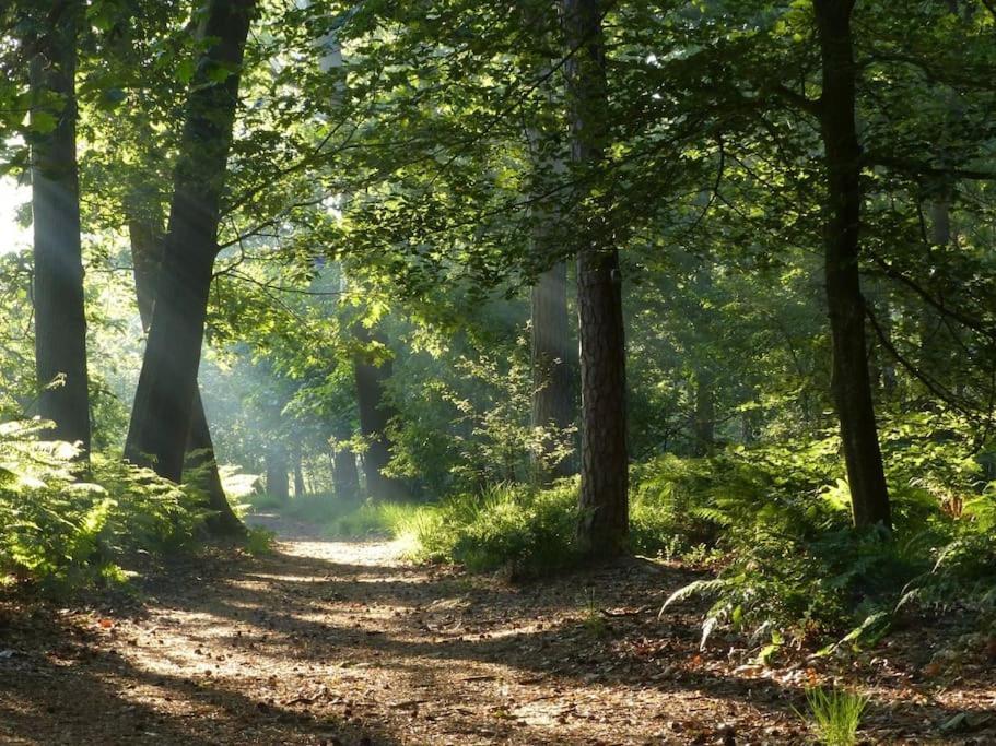 Willa Natuurhuisje Oisterwijk Zewnętrze zdjęcie