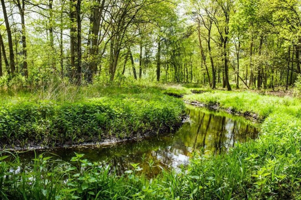 Willa Natuurhuisje Oisterwijk Zewnętrze zdjęcie