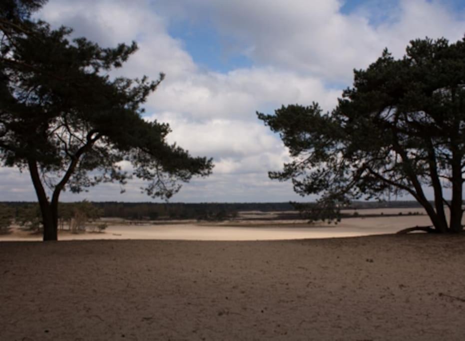 Willa Natuurhuisje Oisterwijk Zewnętrze zdjęcie