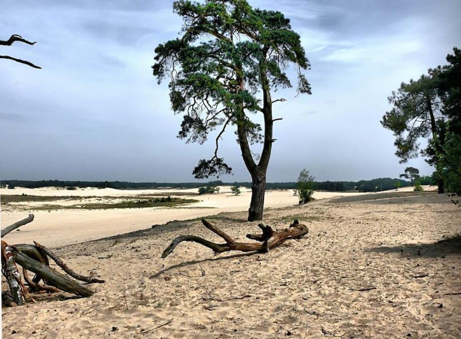 Willa Natuurhuisje Oisterwijk Zewnętrze zdjęcie